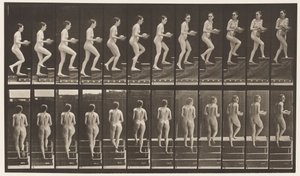 Tavla 94. Uppåtgående trappa ser sig omkring; Handfat i händerna av Eadweard Muybridge