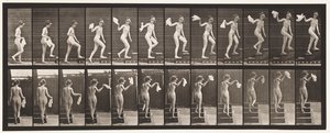 Tavla 96. Uppåtgående trappa ser sig omkring; Viftande näsduk av Eadweard Muybridge