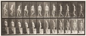 Tavla 98. Vändande och uppgående trappor, 1872-1885 av Eadweard Muybridge
