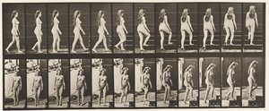Tavla 99. Sväng- och uppstigningstrappor av Eadweard Muybridge