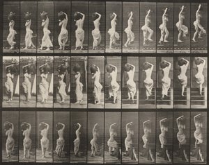 Plansch nummer 105. Person som vänder sig om och går uppför trappor, en vattenkruka på vänster axel av Eadweard Muybridge
