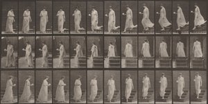  av Eadweard Muybridge