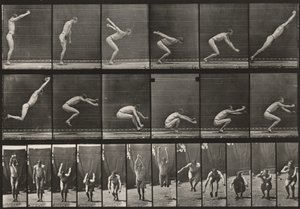  av Eadweard Muybridge