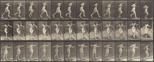 Skylt nummer 175. Korsande bäck på trappstenar med fiskespö och burk av Eadweard Muybridge