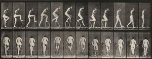 Plansch nummer 180. Att kliva upp på och över en stol av Eadweard Muybridge