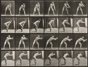 Plansch nummer 280. Baseboll, fånga bollen av Eadweard Muybridge