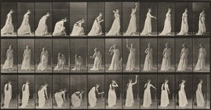  av Eadweard Muybridge