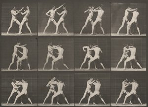 Plansch nummer 340. Boxning, öppen hand av Eadweard Muybridge