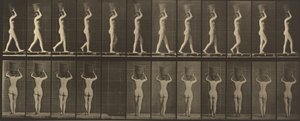 Skylt nummer 34. Går och bär en 15-lb. korg på huvudet, händerna höjda av Eadweard Muybridge