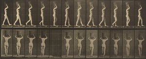 Plansch nummer 34. Gående och bärande en korg på 15 lb på huvudet, händerna höjda av Eadweard Muybridge