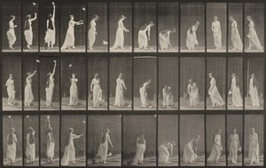 Plansch nummer 463. Sträcka sig upp, böja sig och vända sig om av Eadweard Muybridge