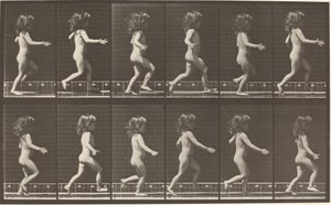 Skylt nummer 469. Barn springer av Eadweard Muybridge