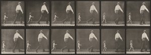 Plansch nummer 470. Barn som springer efter en man av Eadweard Muybridge