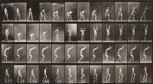  av Eadweard Muybridge
