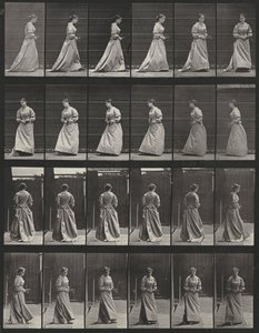  av Eadweard Muybridge
