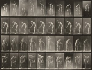 Plansch nummer 491. A, B: Hamring vid ett städ. C: Användning av en yxa. D: Sågning av en bräda av Eadweard Muybridge