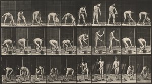 Nummerplåt 506. Murning,1887 (foto) av Eadweard Muybridge