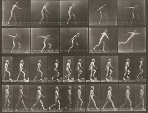 Platta nummer 519. A: Kasta diskus. B: Gå uppför ett steg. C: Gå av Eadweard Muybridge