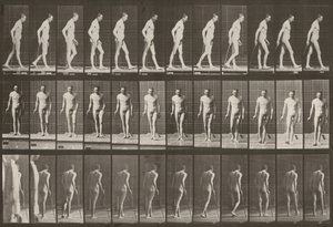  av Eadweard Muybridge