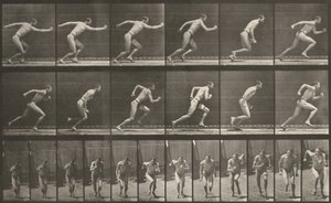 Plansch nummer 59. Start för en löpning av Eadweard Muybridge