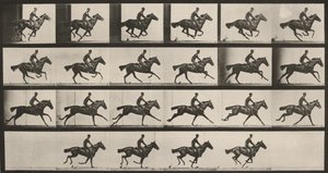  av Eadweard Muybridge