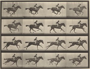 Plansch nummer 626. Galopp, fullblods brun märr, Annie G. av Eadweard Muybridge