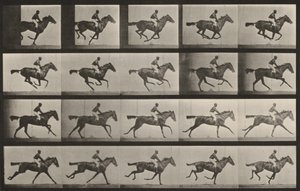  av Eadweard Muybridge