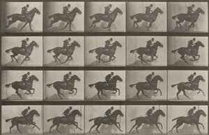  av Eadweard Muybridge