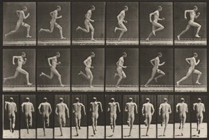 Plansch nummer 62. Löpning i full fart av Eadweard Muybridge
