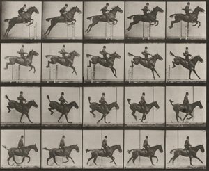  av Eadweard Muybridge