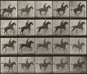  av Eadweard Muybridge