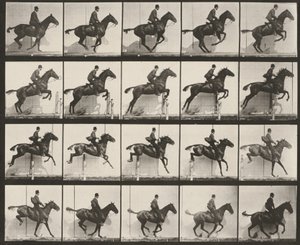 Plansch nummer 640. "Daisy" hoppar över ett hinder, sadlad av Eadweard Muybridge