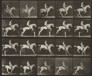  av Eadweard Muybridge