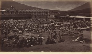 Plaza och vicekungens palats-Antigua de Guatemala,1877 (foto) av Eadweard Muybridge