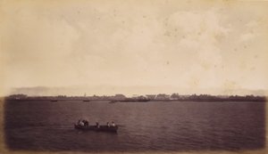 Punta Arenas, Costa Rica av Eadweard Muybridge