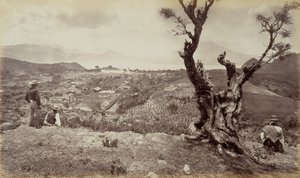 Sololá, Guatemala av Eadweard Muybridge
