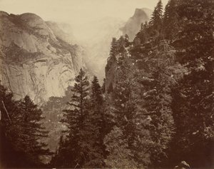 Tenaya Canyon från Union Point, Yosemitedalen av Eadweard Muybridge
