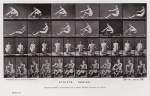 Den mänskliga figuren i rörelse: idrottare, rodd (s/v foto) av Eadweard Muybridge