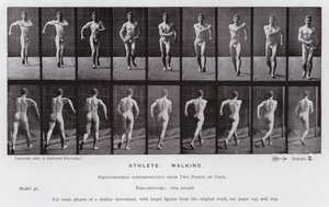 Den mänskliga figuren i rörelse: idrottare, gående (s/v foto) av Eadweard Muybridge