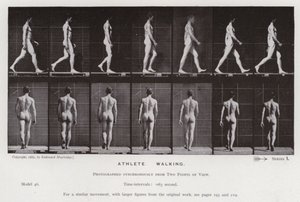 Den mänskliga figuren i rörelse: idrottare, gående (s/v foto) av Eadweard Muybridge