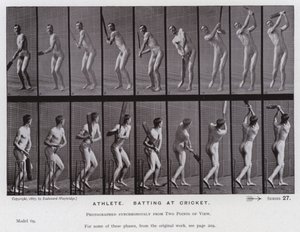 The Human Figure in Motion: Idrottare som slår i cricket (s/v foto) av Eadweard Muybridge