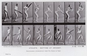 The Human Figure in Motion: Idrottare som slår i cricket (s/v foto) av Eadweard Muybridge