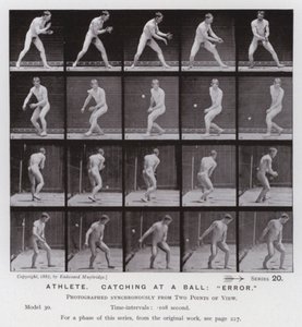 Den mänskliga figuren i rörelse: Idrottsman som fångar en boll, "fel" (s/v-foto) av Eadweard Muybridge