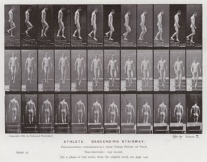 Den mänskliga figuren i rörelse: Idrottsman som går ner för en trappa (s/v foto) av Eadweard Muybridge
