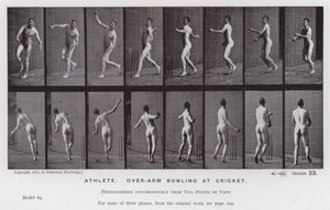The Human Figure in Motion: Atlet, bowling över armar på cricket (s/v foto) av Eadweard Muybridge