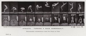 Den mänskliga figuren i rörelse: Idrottsman som vänder en kullerbytta (s/v foto) av Eadweard Muybridge