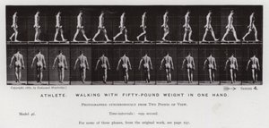Den mänskliga figuren i rörelse: Idrottare som går med femtio pund i en hand (s/v foto) av Eadweard Muybridge