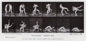 Den mänskliga figuren i rörelse: idrottare, brottning (s/v foto) av Eadweard Muybridge