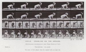 Människofiguren i rörelse: Barn som kryper på marken av Eadweard Muybridge