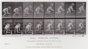 Den mänskliga figuren i rörelse: Barn som kryper uppför trappan (s/v foto) av Eadweard Muybridge